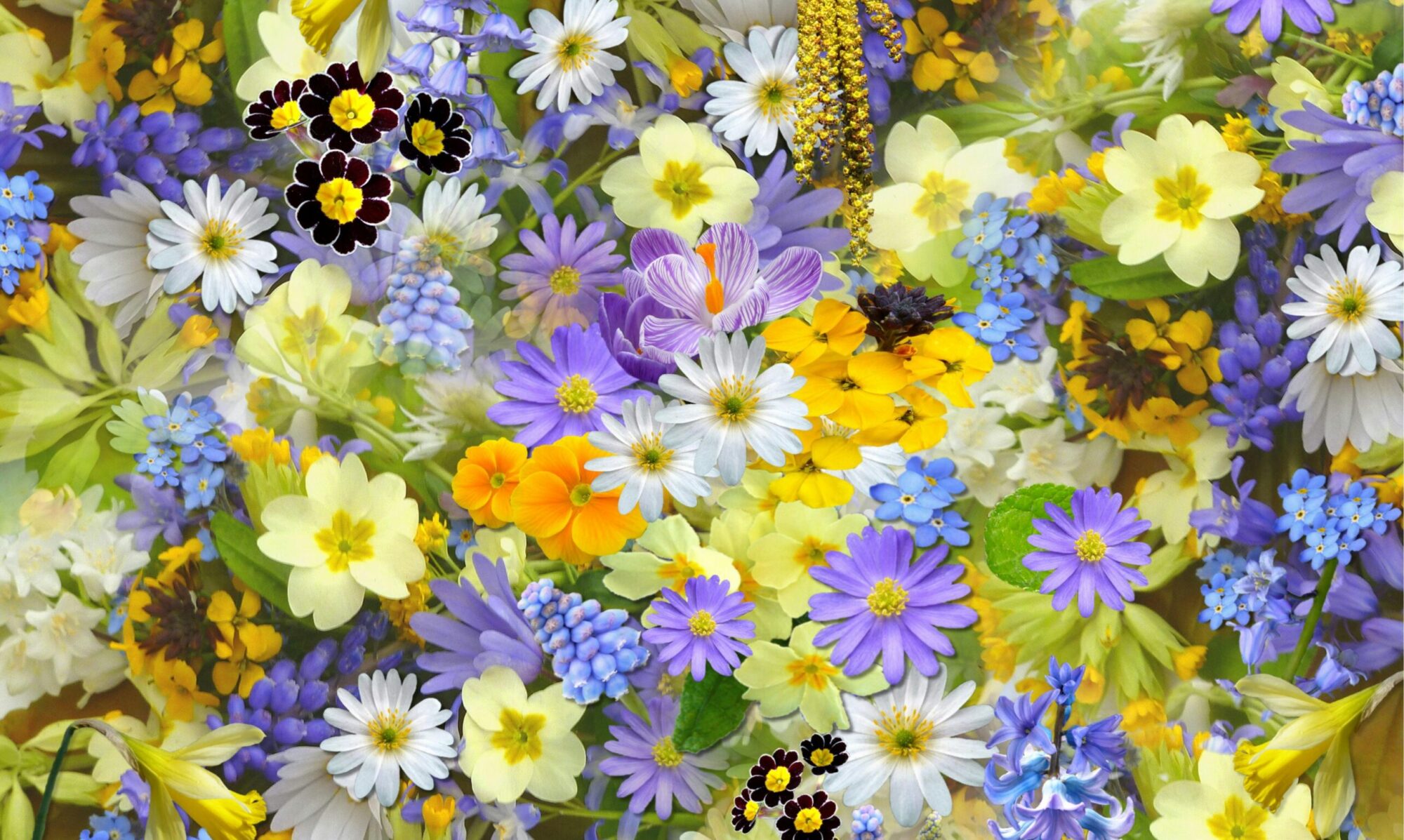A colorful assortment of spring flowers, showcasing a vivid mix of colors and blooms.