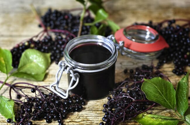 Цъфтящ бъз (Sambucus nigra) с бели цветове върху фон от зелени листа