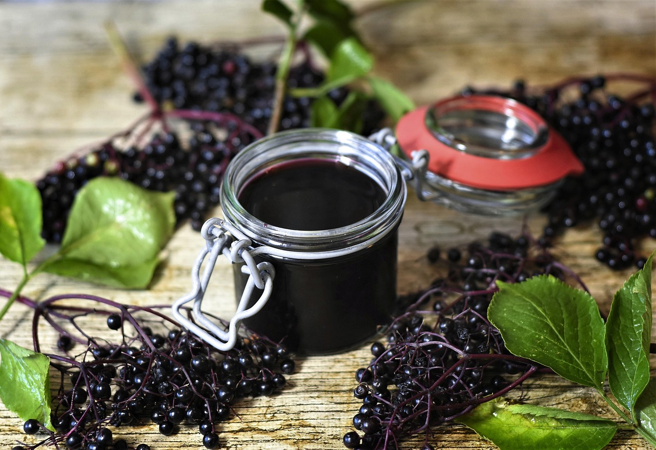 Цъфтящ бъз (Sambucus nigra) с бели цветове върху фон от зелени листа